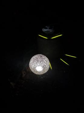 IAPQ4042