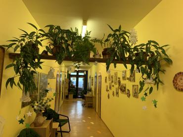 IMG0255