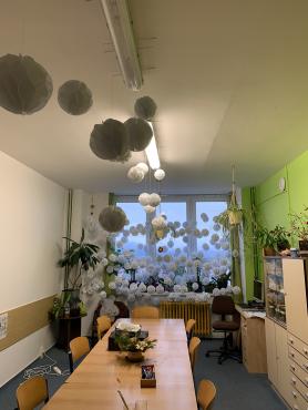 IMG0259