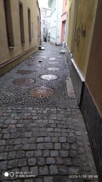 IMG20250126084814