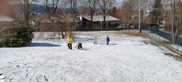 IMG20250317105159