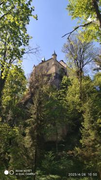 IMG20250426105052