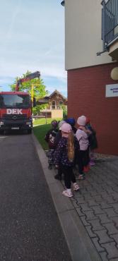 IMG20250505103526