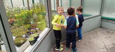IMG20250528095410