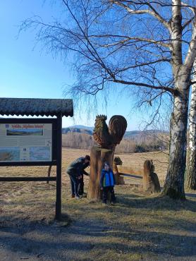 IMG20260228121331775