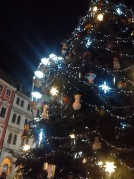 IMG20191212165714resized20191212083256144