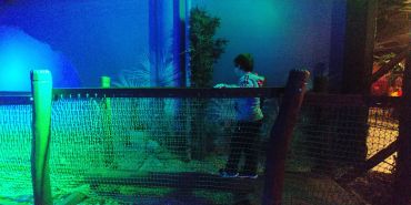 20191216172017Burst01