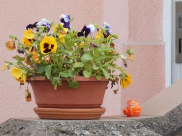 DSCN1347