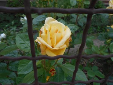 DSCN1348